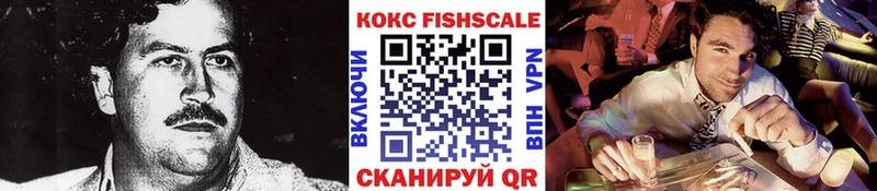 закладка  Тула  COCAIN FishScale 