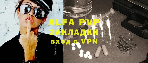 гашик Осинники