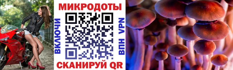 Псилоцибиновые грибы Cubensis  Тула 