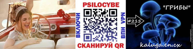 Псилоцибиновые грибы GOLDEN TEACHER Тула