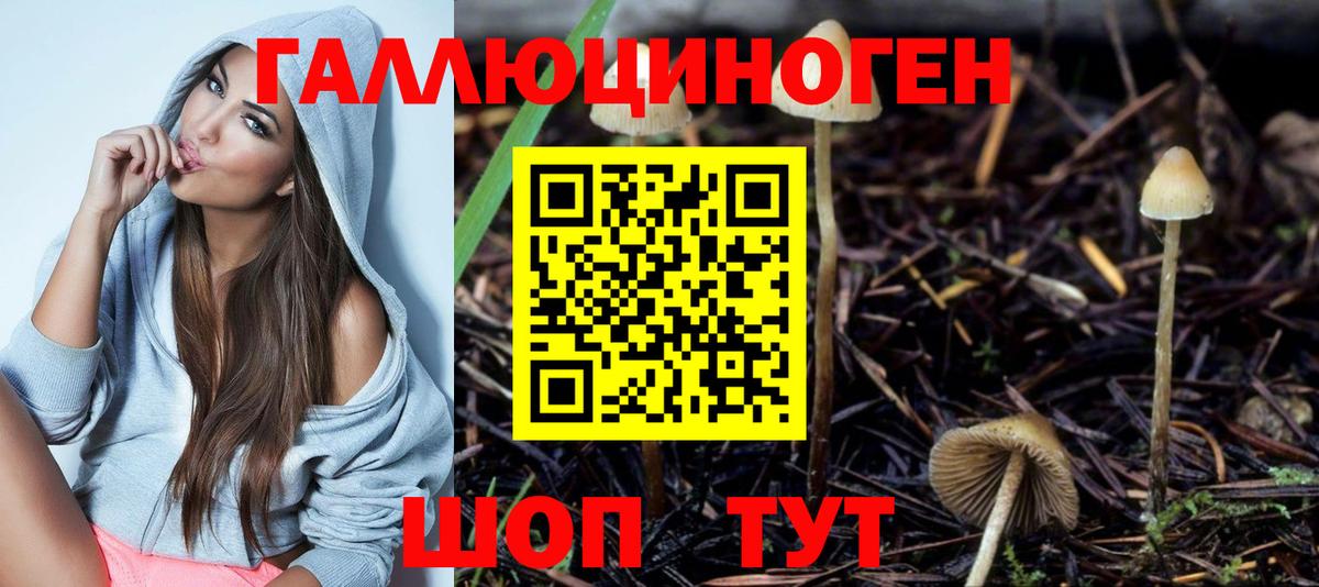 Псилоцибиновые грибы Magic Shrooms  как найти закладки  Тула  Галлюциногенные грибы мухоморы  Вход с VPN 