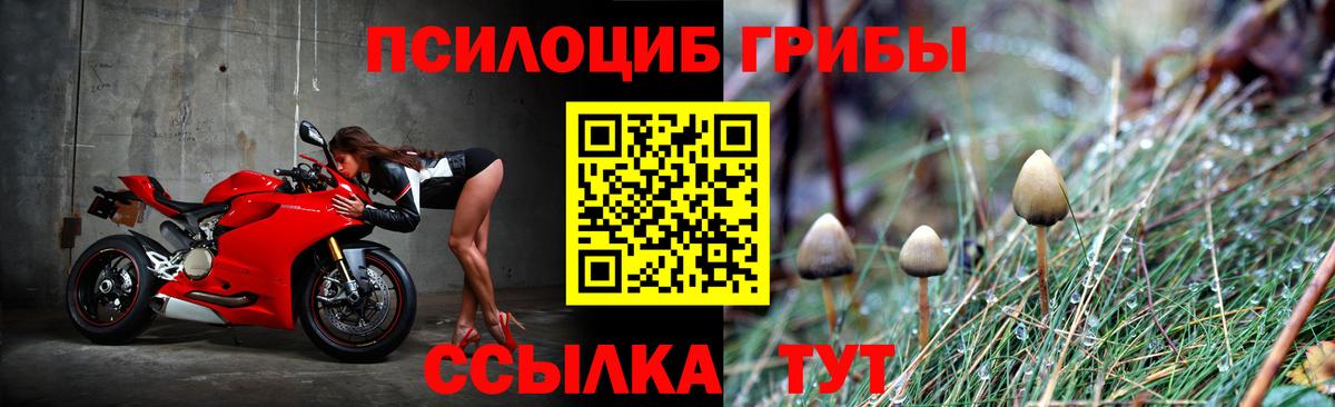 Галлюциногенные грибы прущие грибы Тула
