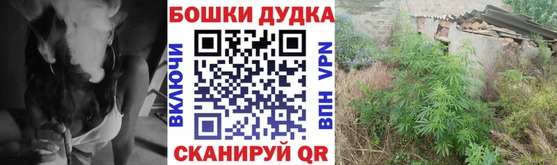 хочу   Тула  Бошки Шишки AK-47 